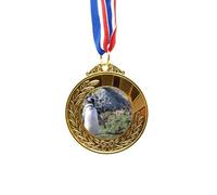 no/no Stand Southern Penguin SpheniscidaePicture Gold Award Winner Medal First Place Ribbon