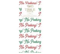 No Peeking! Caspari Tissue Wrap 4 Sheets of 70 x 50 cm Luxury Tissue Wrapping Paper
