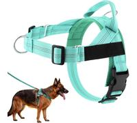 No Pull Adjustable Dog Harness, Breathable Comfort Pet Walking Vest Harness with Secure Buckle Design, Ideal for Medium Large Dogs Daily Outdoor Walking Training and Travel Activities (Mint Green, L)