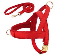 No Pull Adjustable Nylon Dog Harness Vest Personalised Dog Harness Leash Set For Medium And Large Dogs Labrador German Shepherd Dogs,Red,XL