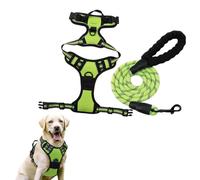 No Pull Dog Harness, Adjustable Oxford Dog Vest Harness with Leash, Reflective No-Choke Pet Harness with Easy Control Soft Handle for Small Medium Large Dogs (Green, S)