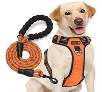 No Pull Dog Harness Adjustable Reflective Oxford Easy Control Medium Large Dog Harness with A Free Heavy Duty 5ft Dog Leash