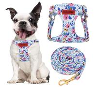 No Pull Dog Harness Adjustable Small Harness and Leash Set, Lightweight and Soft Dog Harness No Choke Escape Proof Pet Harness Vest (Blue Rose, Medium)