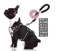 No Pull Dog Harness and Leash Set, Animire in Training Service Dog Vest with 7 Dog Patches, Emotional Support Therapy Dog Harness for Small, Medium, Large, and Extra-Large Dogs