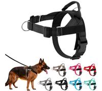 No Pull Dog Harness, Breathable Adjustable Pet Walking Vest Harness with Secure Buckle Design, for Medium Large Dogs Daily Outdoor Walking Training and Travel Activities (Black, M)