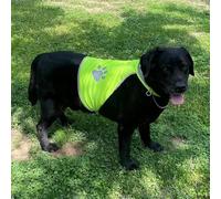 No Pull Dog Harness - Dog Jacket | Reflective Pet Vest - High Visibility Fluorescent Dogs Safety Vest For Outdoor Walking, Hiking & Training, Breathable Polyester, Sizes S- L, Paw Pattern For Puppies