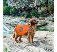 No Pull Dog Harness - Dog Jacket | Reflective Pet Vest - High Visibility Fluorescent Dogs Safety Vest For Outdoor Walking, Hiking & Training, Breathable Polyester, Sizes S- L, Paw Pattern For Puppies