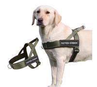 No Pull Dog Harness for Extra Large Size Dog - Heavy Duty Adjustable Reflective Escape Proof Vest with 2 Patches, Easy for Training Walking Vest Harness (AGreen,XL)