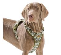 No Pull Dog Harness for Large Dogs with 2 Metal Clips, Easy On/Off with Neck Buckle, Heavy Duty Adjustable Puppy Vest, Breathable Pet Harness with Easy Control Handle, Green Ethnic L