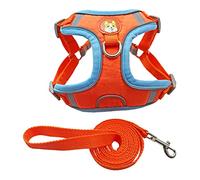 No Pull Dog Harness for Small Dog, Reflective Breathable Soft Mesh Padded Step-in Vest Harness Leash Set, Adjustable Puppy Dog Cat Lead for Daily Walking,Orange，S