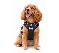 No Pull Dog Harness for Small Dogs - Adjustable Padded Chest Harness with Front D-Ring & Reflective Stitching, Black | IzzyB Pet Products