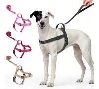 No Pull Dog Harness-Heavy Duty Dog Harness and Leash Set for Medium Large Dogs, Tactical Harness Easy for Walking and Training(Black,L)