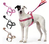 No Pull Dog Harness-Heavy Duty Dog Harness and Leash Set for Medium Large Dogs, Tactical Harness Easy for Walking and Training(Red,L)