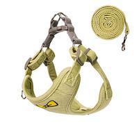No Pull Dog Harness with Leash Pet Soft Vest Harness and Leash Set Dog Cat No Choke Escape Proof Harness Reflective Step in Harness for Small Medium Dogs Cats(Pastel Green, Large)