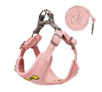 No Pull Dog Harness with Leash Pet Soft Vest Harness and Leash Set Dog Cat No Choke Escape Proof Harness Reflective Step in Harness for Small Medium Dogs Cats(Pink, XLarge)