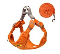 No Pull Dog Harness with Leash Pet Soft Vest Harness and Leash Set Dog Cat No Choke Escape Proof Harness Reflective Step in Harness for Small Medium Dogs Cats (Orange, Medium)