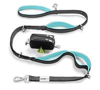 No Pull Dog Leash - Heavy Duty, Durable Bungee, 4 Padded Traffic Handles, Strong Carabiner Clips and Rings, Poop Bag Holder, Highly Reflective, 6 ft, Large Breeds by Leashrr 2.0 (Teal)