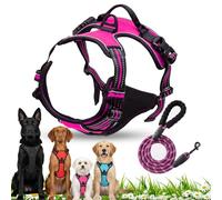 No Pull Harness for Dogs, Front Clip Dog Harness, Adjustable Outdoor Pet Vest Reflective, Dog Harness and Lead Set for Training or Walking (Magenta, M)