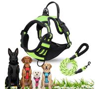 No Pull Harness for Dogs, Front Clip Dog Harness, Adjustable Outdoor Pet Vest Reflective, Dog Harness and Lead Set for Training or Walking (Green, M)
