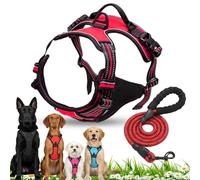 No Pull Harness for Dogs, Front Clip Dog Harness, Adjustable Outdoor Pet Vest Reflective, Dog Harness and Lead Set for Training or Walking (Red, M)