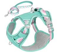No Pull Nylon Dog Harness Vest Outdoor Reflective Dog Harness Leash Set With Control Handle Pet Harness Leash Set For Medium And Large Dogs Pitbull French Bulldog,Blue,M