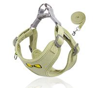 No Pull Pet Harness Leash,Reflective Adjustable Dog Vest Harness Walking Running Training Harness for Cat Puppy Small Medium Dog_XL(Green)