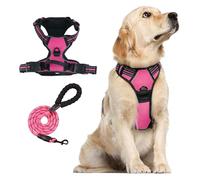 No-Pull Reflective Dog Harness & Leash Set | Adjustable Breathable Soft Vest with Padded Handle & Free Heavy Duty Leash(Rose red,L)