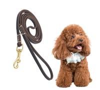 No Pull Rope - Dog Training Behavior Aids | Cat Safety Belt Car Harness | Ergonomic Design Rope | Adjustable Pet Lead Training R0pe for Medium Dogs Cats Walking Travel Outdoor Safety Use