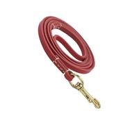 No Pull Rope - Dog Training Behavior Aids | Cat Safety Belt Car Harness | Ergonomic Design Rope | Adjustable Pet Lead Training R0pe for Medium Dogs Cats Walking Travel Outdoor Safety Use