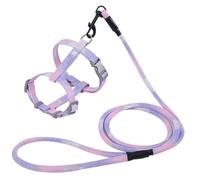 No Pull Small Dog Harness & Lead Heavy Duty Easy for Walk Vest Harness Gradient Traction Rope Pet L-Back Leash Adjustable Puppy Harness Anti-Twist Pet Lead Quick Fit for Pet