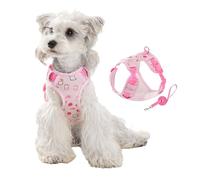 No Pull Small Dog Vest Harness Leash Set,Adjustable Fruit Print Puppy Walking Training Lightweight Escape Proof Harness for Schnauzer Bichon Poodle Pomeranian_M(Pink)