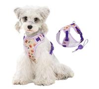 No Pull Small Dog Vest Harness Leash Set,Adjustable Fruit Print Puppy Walking Training Lightweight Escape Proof Harness for Schnauzer Bichon Poodle Pomeranian_L(Purple)