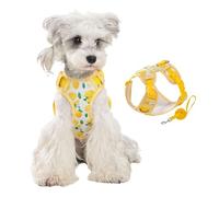 No Pull Small Dog Vest Harness Leash Set,Adjustable Fruit Print Puppy Walking Training Lightweight Escape Proof Harness for Schnauzer Bichon Poodle Pomeranian_L(Yellow)