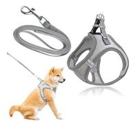 No Pull Vest,Cat Harness and Leash Set,Lead Set Escape Free,Soft Dog Harness Small Dog with,Breathable Dog Vest,with Leads,for Daily Walking,Adjustable Soft Padded
