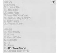 Sylvan Esso – No Rules Sandy