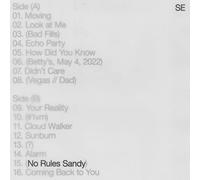 No Rules Sandy [VINYL]