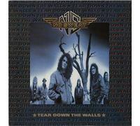 No Sweat (2) - Tear down the walls (1991) [VINYL]