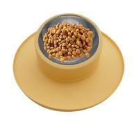 No Tip Pet Water Bowl - Flanged Splashing Guard, Wide Base Feeder, 28x28x8.5cm Shallow Metal Double Station, Food Grade Elastomer Flat Ground Stand | Puppy Drinking Basin for Kennels & Catteries