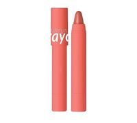 No Transfer Lipstick Crayon Lipstick Set Long Lasting Moisturizing Lipstick Crayons Lip Liner Non Stick Lipsticks For Women Clinical Lipstick (C, One Size)