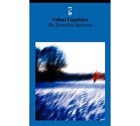 No Traveller Returns (Salt Modern Poets)