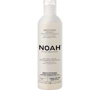 Noah Natural Anti-Yellow Hair 2.6 Mask with Blueberry Extract for Blonde, Grey, White, or Bleached Hair - Shining, Revitalizing, Vegan, Cruelty-Free, Plant-Based Formula, 250ml