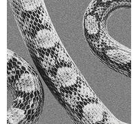 Noah Gundersen - God Don'T Talk To Strangers/Lady Of The Ocean [VINYL]