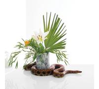 Noah Gundersen - White Noise [VINYL]