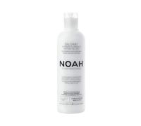 NOAH Hair 2.1 Nourishing Conditioner with Mango & Rice Proteins - Hydrating, Detangling & Frizz-Control Formula for All Hair Types, Enhances Shine & Manageability, Paraben & Sulphate-Free, 250ml