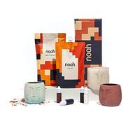 noah Jesmonite & Terrazzo Craft Kit - Complete DIY Set - Casting Kit for Beginners - Great Gift Idea (Face Pot Mould/Neutral Colours)