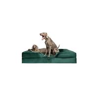 NOAH & PAW Giant Dog Bed XXL, 55x45x11 Inch, Orthopedic Dog Beds, Eggshell Memory Foam Infused with Cooling Gel, Inner Cover, Waterproof, Machine Washable (Velvet Sofa Collection)