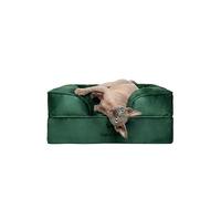 NOAH & PAW Small Dog Bed, 20x15x8 Inch, Cat Bed for indoor cats, Orthopedic Eggshell Memory Foam Infused with Cooling Gel, Waterproof Inner Cover Machine Washable (Velvet Collection)