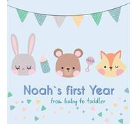 Noah`s first year - from baby to toddler: Baby Memory Book