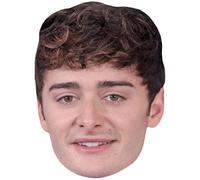 Noah Schnapp (Curls) Celebrity Mask, Flat Card Face, Fancy Dress Mask