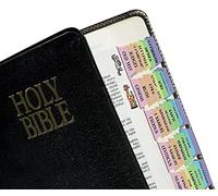 Noah's Ark Animal 80 Rainbow Bible Tabs